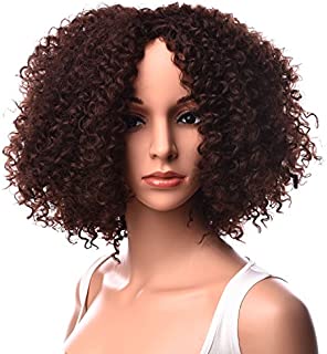 Silike Afro Kinky Curly Wig Kanenkalon Fiber Jerry Curl Wigs For Black Women African American Female Wig Heat Resistant Fiber (Short, 30)