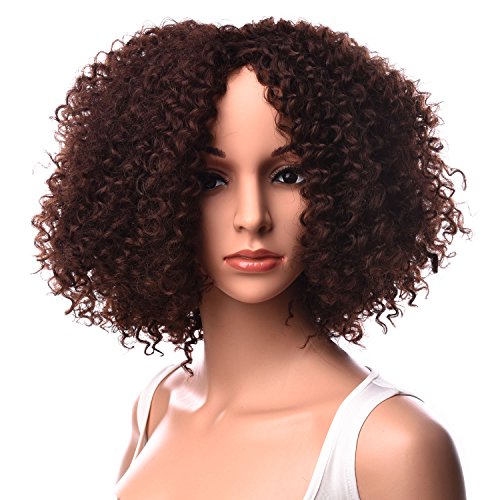 Silike Afro Kinky Curly Wig Kanenkalon Fiber Jerry Curl Wigs For Black Women African American Female Wig Heat Resistant Fiber (Short, 30)