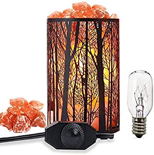 Salt Lamps, Natural Himalayan Salt Lamp, Forest Salt Lamp, Salt Night Lights, Salt Crystal Light with Retro Metal Basket Lamp and Extra 25W Lamp Bulbs