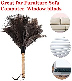 Ostrich Feather Duster, Car Duster with Wooden Handle for Blinds, Kitchen, Keyboard Office, Car, Small, 13 inch, Black.