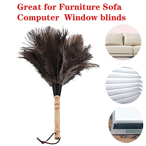 Ostrich Feather Duster, Car Duster with Wooden Handle for Blinds, Kitchen, Keyboard Office, Car, Small, 13 inch, Black.