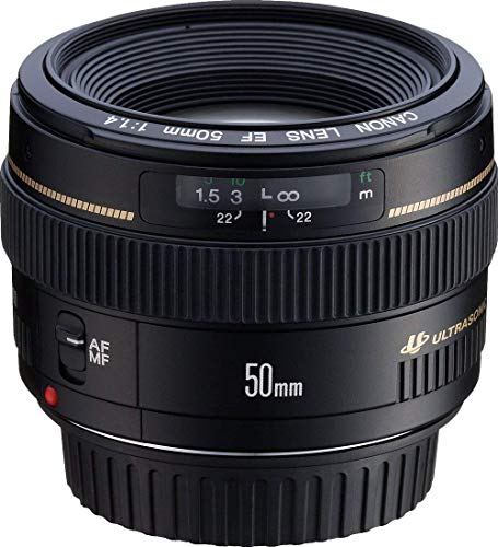 10 Best Canon L Lens For Video - AskDeb