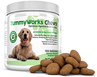 TummyWorks Probiotic Chews for Dogs. Relieves Diarrhea, Upset Stomach, Gas, Constipation & Bad Breath, Itching, Allergies & Yeast Infections. With Digestive Enzymes & Prebiotics. Made in USA 120 count