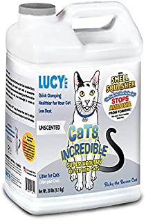 Lucy Pet Cats Incredible 20 lb Jug Clumping Cat Litter with Smell Squasher, Absorbent Natural Clay Formula Prevents Ammonia Build-Up, Unscented