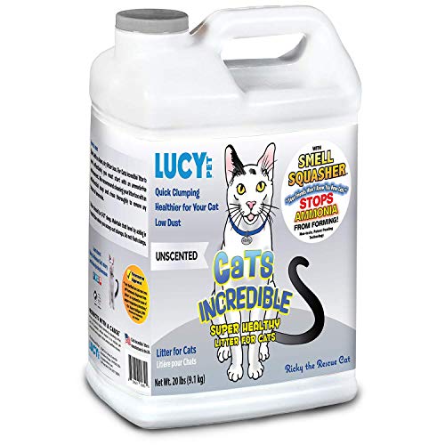 Lucy Pet Cats Incredible 20 lb Jug Clumping Cat Litter with Smell Squasher, Absorbent Natural Clay Formula Prevents Ammonia Build-Up, Unscented