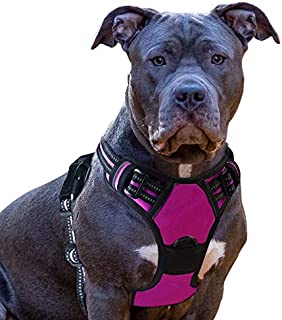 Eagloo Dog Harness No Pull, Walking Pet Harness with 2 Metal Rings and Handle Adjustable Reflective Breathable Oxford Soft Vest Easy Control Front Clip Harness Outdoor for Large Dogs Rose Red