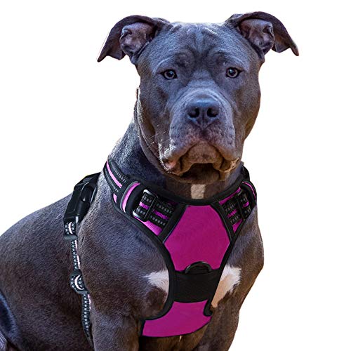 Eagloo Dog Harness No Pull, Walking Pet Harness with 2 Metal Rings and Handle Adjustable Reflective Breathable Oxford Soft Vest Easy Control Front Clip Harness Outdoor for Large Dogs Rose Red