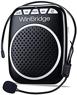 WinBridge WB711 10W