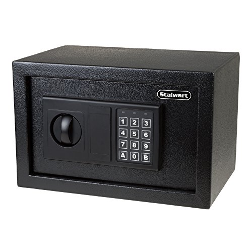 10 Best Home Safes For Cash