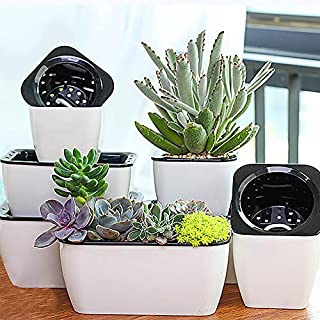 6 Pack Self Watering Planter African Violet Pots White Mini Rectangle Flower Plant Pot with Wick Rope Indoor for Succulent , Flowers, HerbsAll House Plants