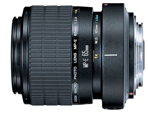 Canon MP-E 65mm f/2.8 1-5X Macro Lens for Canon SLR Cameras