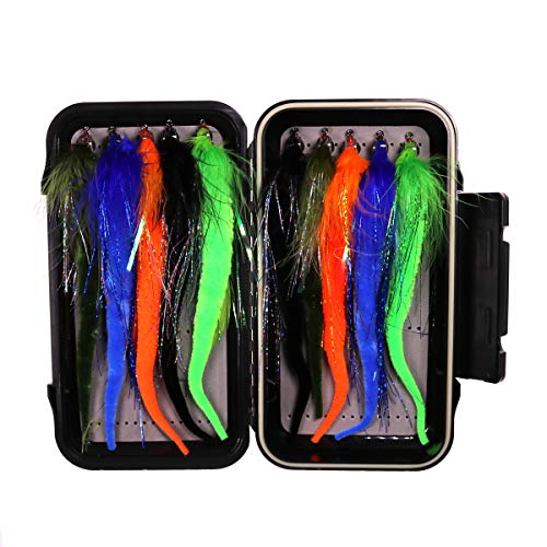 wifreo 10pcs/Box Dragontail Fly Combo Set