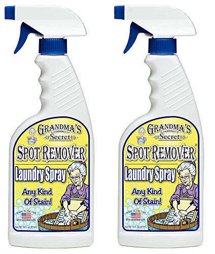 10 Best Spot Cleaners For Clothes