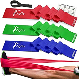 Premium Exercise Bands and Door Anchor | Fitness, Physical Therapy, Pilates Workout, Stretch | 6 Feet Long