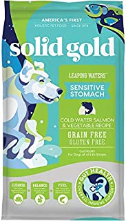 Solid Gold - Leaping Waters with Cold Water Salmon & Vegetable Recipe - Grain Free & Gluten Free for Sensitive Stomachs - Holistic Adult Dry Dog Food - 22lb Bag