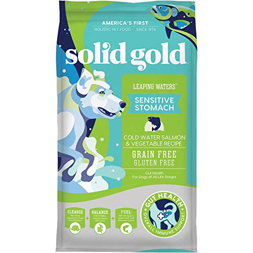 Solid Gold - Leaping Waters with Cold Water Salmon & Vegetable Recipe - Grain Free & Gluten Free for Sensitive Stomachs - Holistic Adult Dry Dog Food - 22lb Bag