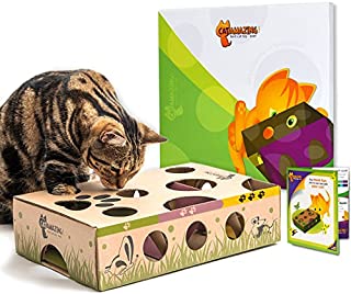 Cat Amazing  Best Cat Toy Ever! Interactive Treat Maze & Puzzle Feeder for Cats