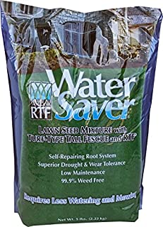 WaterSaver Grass Mixture with Turf-Type Tall Fescue Used to Seed New Lawn and Patch Up Jobs - Grows in Sun or Shade, 5 lbs - covers 1/50 Acre