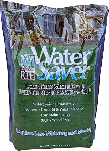 WaterSaver Grass Mixture with Turf-Type Tall Fescue Used to Seed New Lawn and Patch Up Jobs - Grows in Sun or Shade, 5 lbs - covers 1/50 Acre