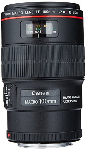 10 Best Canon Macro Lens For Close Up