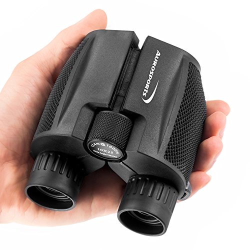 10 Best Compact Binoculars With Night Vision