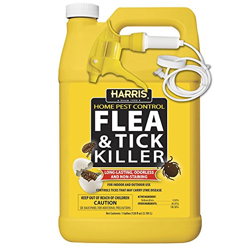 10 Best Flea And Tick Killer For House