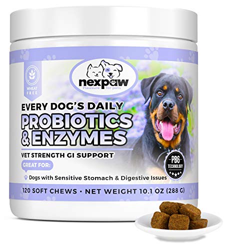 NEXPAW Probiotics for Dog Digestive Health - Relief Diarrhea, Gas, Bloating, Constipation, Upset Stomach - Safe, Natural Canine Probiotic Gut Chewable Medicine 120 Wheat-Free Chews Dogs & Puppy Loves
