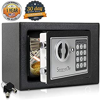 Digital Electronic Mechanical Lock Safe - Fireproof Dual Locking Security Storage Deposit Drop Box with Wall and Floor Mount Bolt, 2 Key, 4 AA Battery - File Gun Cash Jewelry - SereneLife SLSFE11