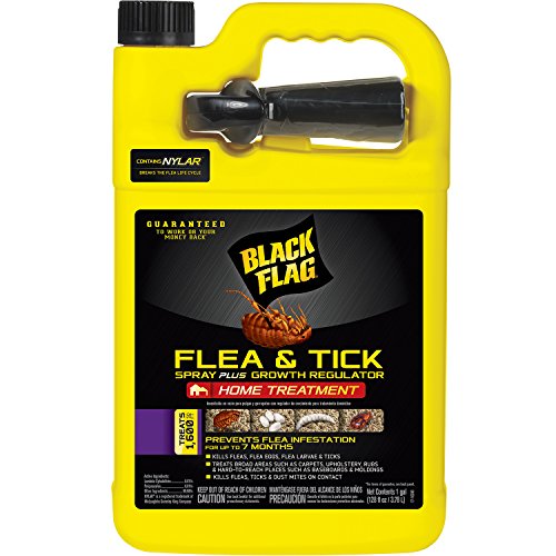 Black Flag 11093 B00PVN1ST8 Extreme Flea Killer Plus Growth Regulator RTU, 1-gal, 1-Count