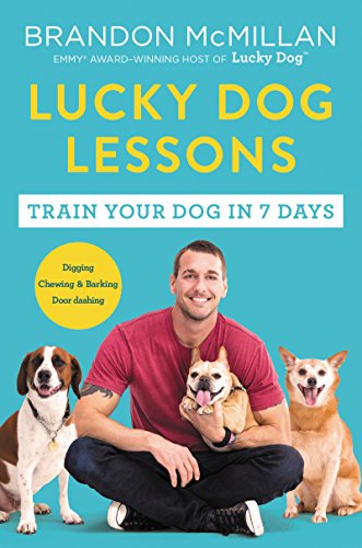 10 Best Dog Books For Training