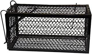 HARRIS Catch and Release Humane Animal and Rodent Cage Trap for Mice, Rats, Chipmunks, and Small Squirrels (9.3in x 4.3in x 4.5in)