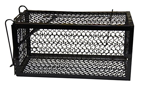 HARRIS Catch and Release Humane Animal and Rodent Cage Trap for Mice, Rats, Chipmunks, and Small Squirrels (9.3in x 4.3in x 4.5in)