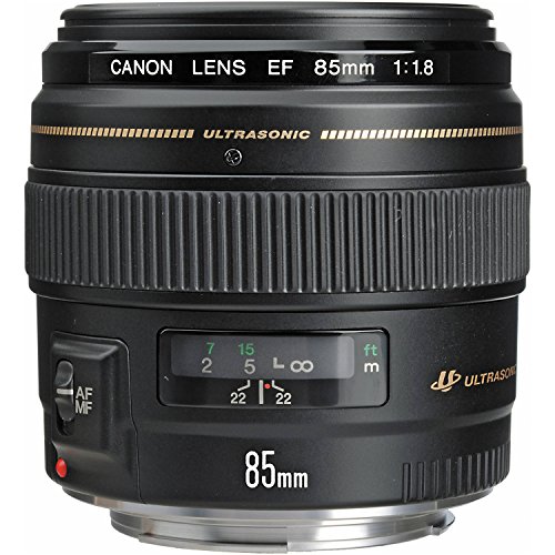 10 Best Canon Lens For Video Low Light