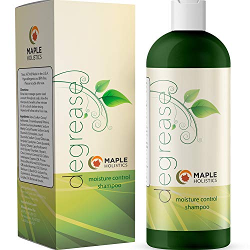 Best Shampoo for Oily Hair - Itchy Scalp Botanical Hair Loss Treatment for Men & Women - Degreaser Hair Product Sulfate Free - Clarifying Shampoo for Color Treated Hair & Natural Beauty Hair Care 16oz