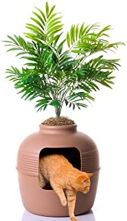 Good Pet Stuff Plant