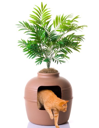 Good Pet Stuff Plant