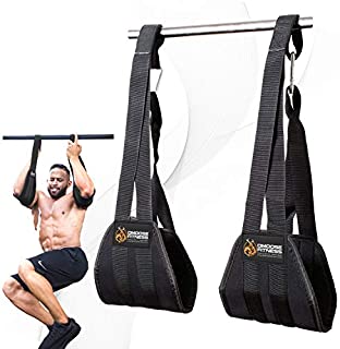 DMoose Fitness Hanging Ab Straps for Abdominal Muscle Building and Core Strength Training, Arm Support for Ab Workouts, Padded Gym Equipment for Men and Women