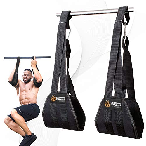 DMoose Fitness Hanging Ab Straps for Abdominal Muscle Building and Core Strength Training, Arm Support for Ab Workouts, Padded Gym Equipment for Men and Women