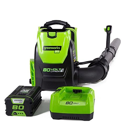 Greenworks 80V 145MPH - 580CFM Cordless Backpack Leaf Blower