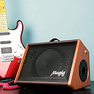 Electric Guitar Amplifier, Mugig