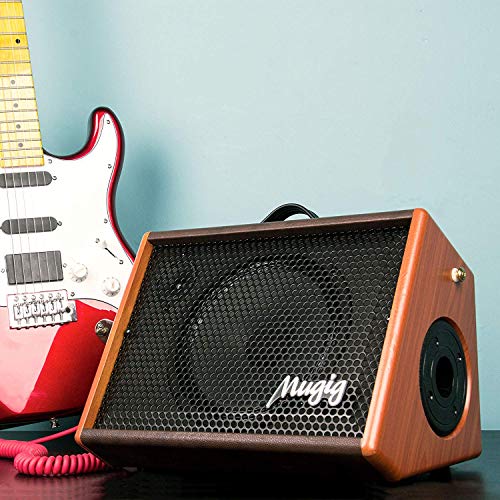 Electric Guitar Amplifier, Mugig