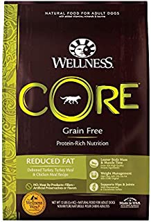 Wellness CORE Natural Grain Free Dry Dog Food, Reduced Fat, 12-Pound Bag