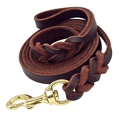 Beirui Leather Dog Leash - Training & Walking Braided Dog Leash - 4 ft by 1/2 in (120cm 1.2cm) - Latigo Leather Brown