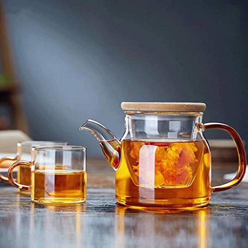 Cxmm High Temperature Glass Teapot Cooked Thickened of The Stainless Steel teapot Glass teapot + Budget Filter Kettles (2 Cups) (Capacity: 750 ml).