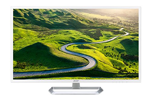 10 Best Ultrawide Monitor For Business