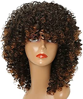 XINRAN Omber Brown Kinky Curly Wig for Black Women,Short Curly Afro Wigs with Bangs,Synthetic African American Full Hair Wig 14inch