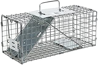 Havahart Small Professional Style One-Door Animal Trap for Squirrel, Rabbit, Skunk, and Mink - 1077