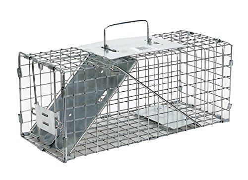 Havahart Small Professional Style One-Door Animal Trap for Squirrel, Rabbit, Skunk, and Mink - 1077