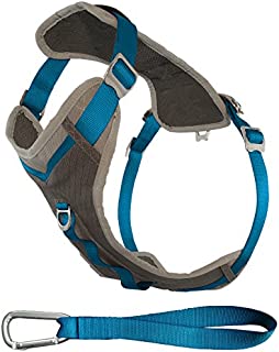 Kurgo Dog Harness