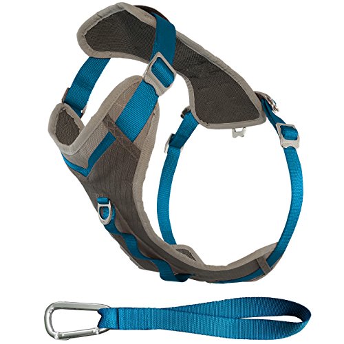 Kurgo Dog Harness